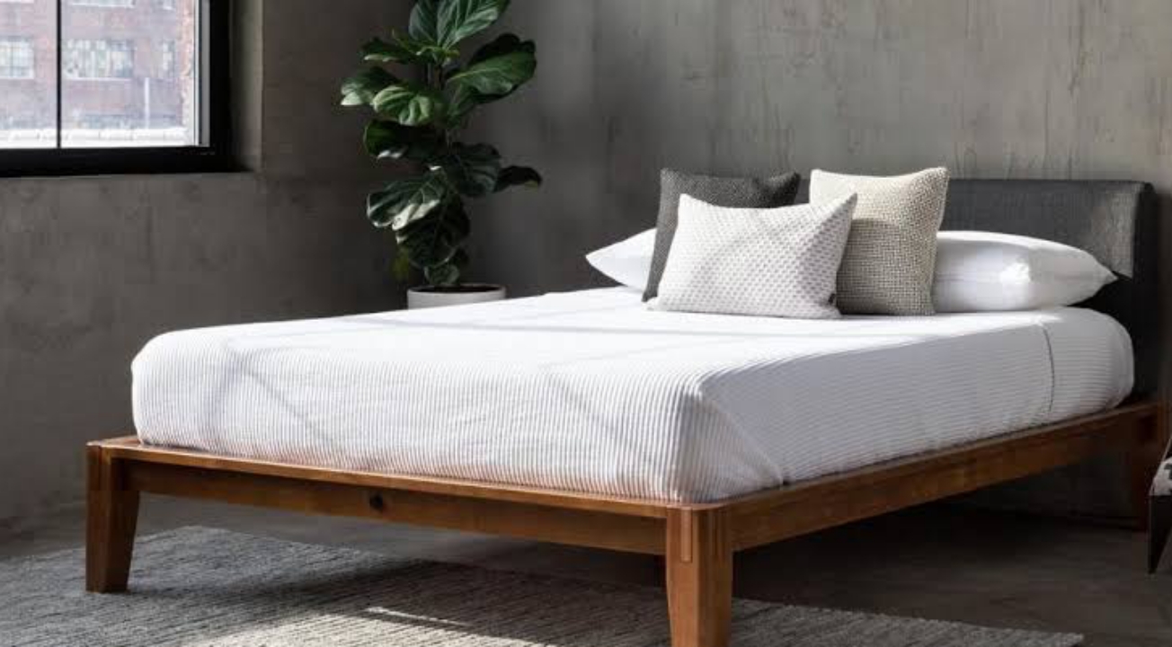 Best Platform Bed 2024